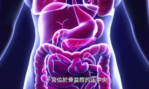 坐月子吹风真的会头疼吗-月子期间吹了风会头痛怎么办网 - 网站提供坐月子风吹了头疼怎么补救小常识、坐月子吹风了头痛怎么办