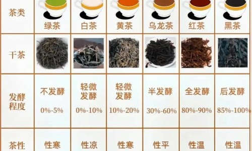 月子里头吹风了会怎么样-月子期间吹了风会头痛怎么办网 - 网站提供坐月子风吹了头疼怎么补救小常识、坐月子吹风了头痛怎么办